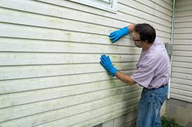 Best Wood Siding Installation  in Maple Lake, MN